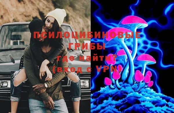 тгк Абинск