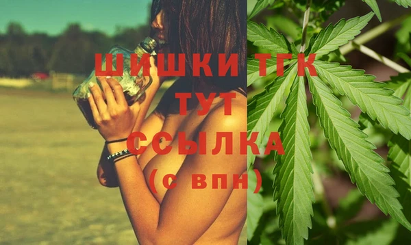 тгк Абинск