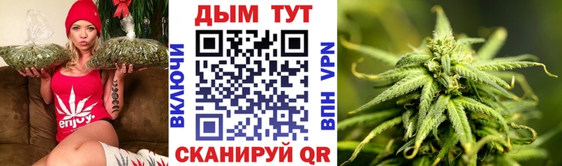Шишки марихуана Amnesia Тула